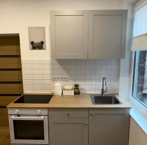 Apartment Andrzeja 11